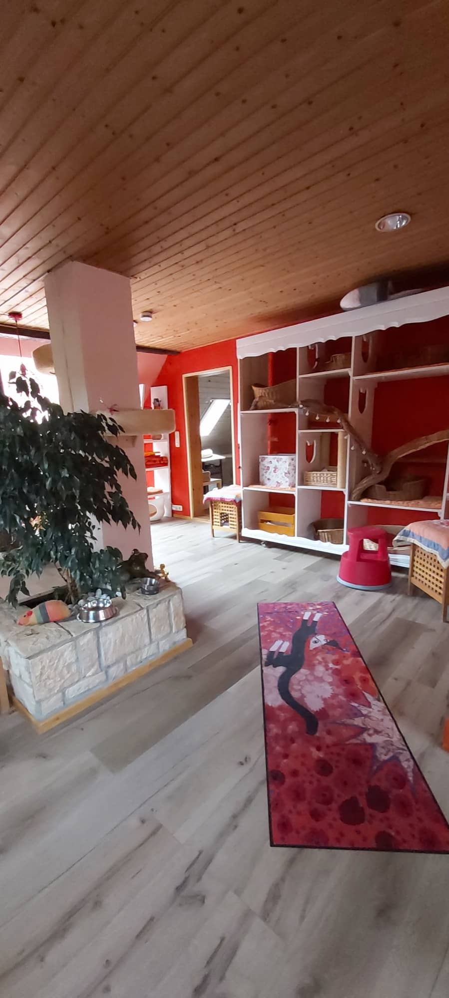 Innenraum mit Holzdecke, roter Wand, weißem Regal und Katzenläufer