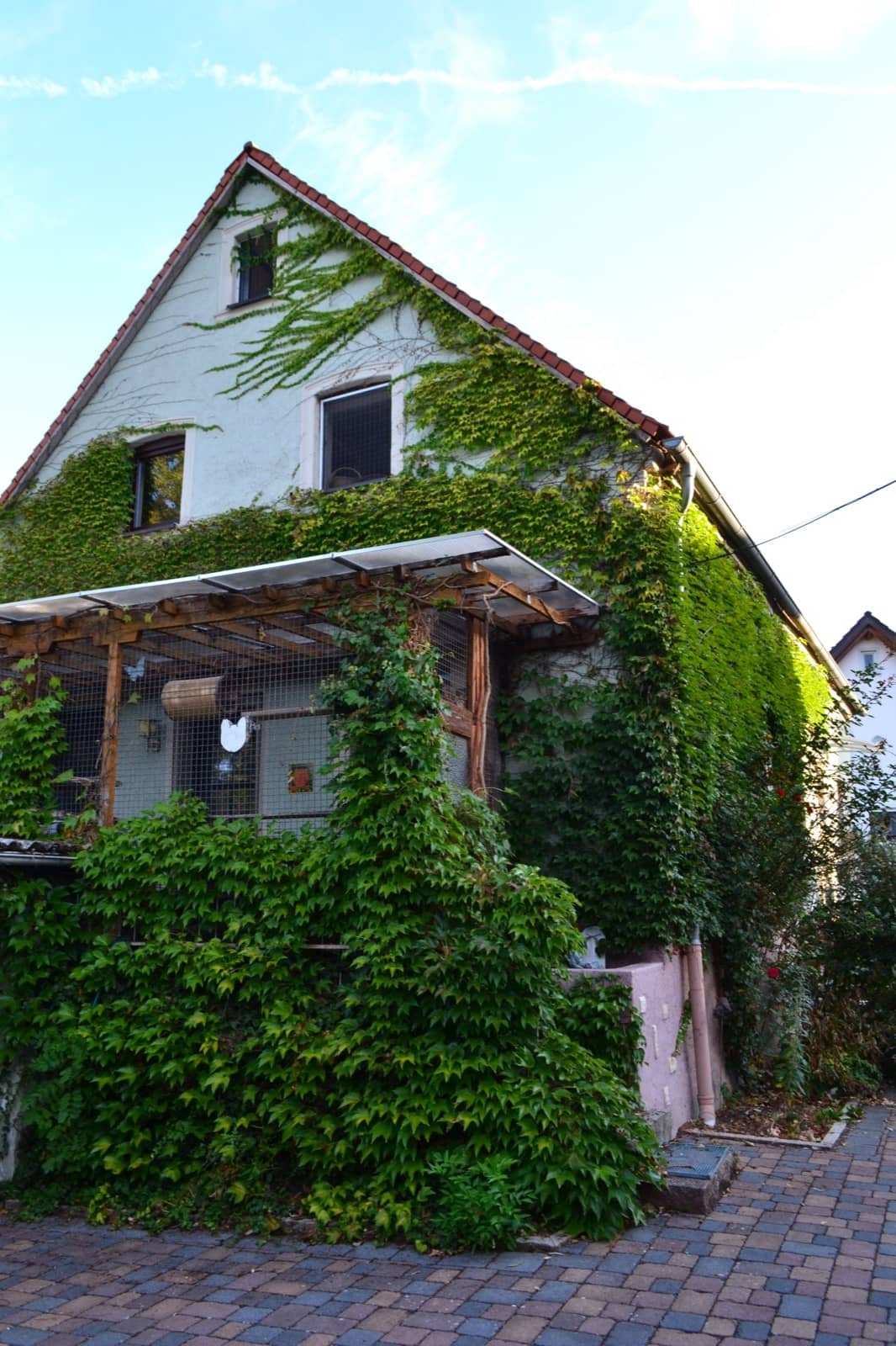 Das Wohnhaus der Katzenpension von außen, mit wildem Wein bewachsen und mit überdachter Terrasse