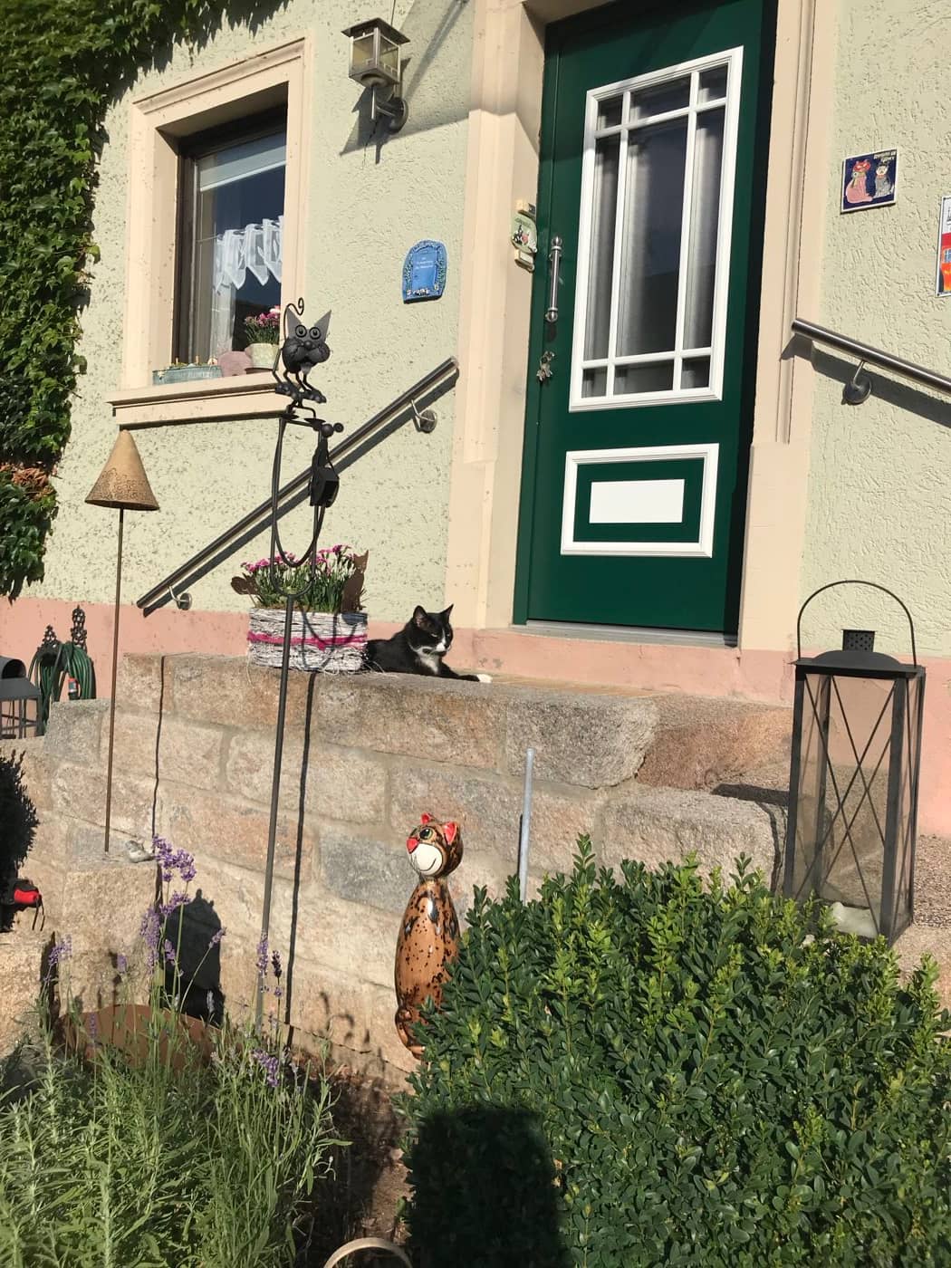 Hauseingang des Mohrenhofs mit grüner Haustür, eine Katze sitzt auf der Natursteinmauer